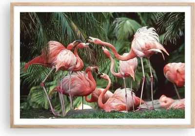 Produktbild von Gerahmtes Poster - Rahmen in heller Eiche - Palmen Herde Flamingos - 91,5x61 cm - Wand Bild - Wanddeko - Wandbilder - Kunstposter - Wandposter - Bilderrahmen - Bilder - Kunstdruck - P2NAA91x61-4804
