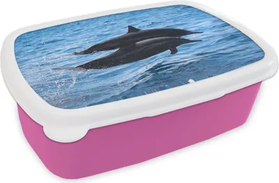 Produktbild von KitchenYeah® Lunchbox Brotzeit Brotdose 17x11 cm Delfin - Meer - Tier Kinder Brotzeitdose - Lunchpaket - Brotkasten  - Sandwich Box