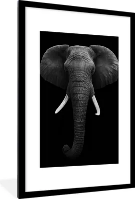 Produktbild von MuchoWow® Gerahmtes Poster Elefant - Wildtiere - Schwarz - Weiß - Porträt 60x90 cm - Poster mit Schwarzem Bilderrahmen Wandposter Rahmen Foto Bilder - Dekoration - Wandposter Wohnzimmer - Hochwertig