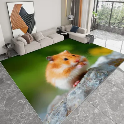Obrázek produktu pro Měkký a huňatý koberec do obývacího pokoje a ložnice, rozměry 63 x 230 cm
