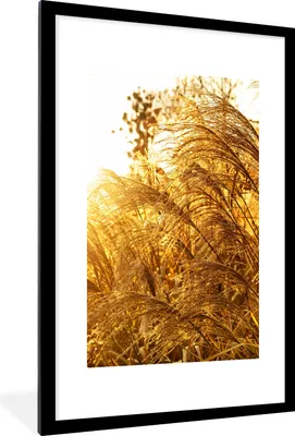 Produktbild von MuchoWow® Gerahmtes Poster Pampasgras - Sonne - Gras 60x90 cm - Poster mit Schwarzem Bilderrahmen Wandposter Rahmen Foto Bilder - Dekoration - Wandposter Wohnzimmer - Hochwertig
