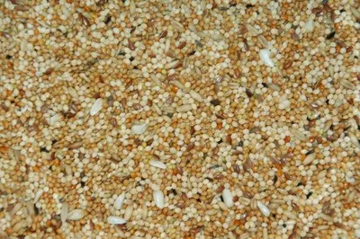 Productafbeelding van Wielink Parkiet extra mengeling 20KG