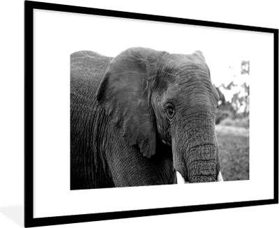 Produktbild von MuchoWow® MuchoWow® Gerahmtes Poster Elefant - Tiere - Schwarz - Weiß - Natur 90x60 cm - Poster mit zchwarzem Bilderrahmen - Wanddekoration - Fotos