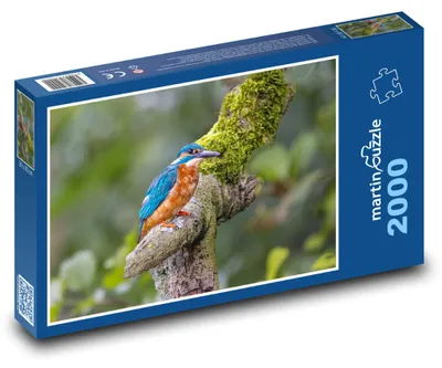 Zdjęcie produktu dla martinpuzzle - Puzzle 2000 - Ledňáček