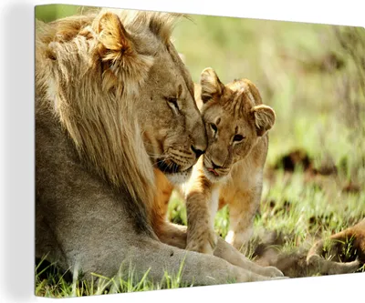 Produktbild von OneMillionCanvasses® - Leinwandbilder - 140x90 cm, Löwe - Junge - Wild, Wandbilder Kunstdruck Wanddekoration
