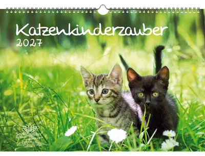 Produktbild von Katzenkinderzauber DIN A3 Kalender für 2027 Katzenkinder Katzenbabys - Seelenzauber