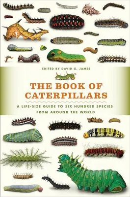 Obrázek produktu pro The Book of Caterpillars