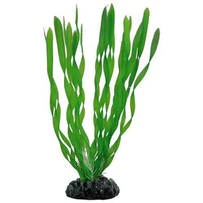 Produktbild von Hobby Vallisneria, 20 cm - Kunststoffpflanze für Aquarien