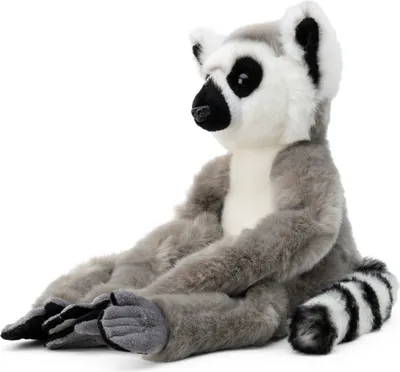Produktbild von Realistisches Kuscheltier 24cm mit Klettverschluss und Tierfakten-Büchlein