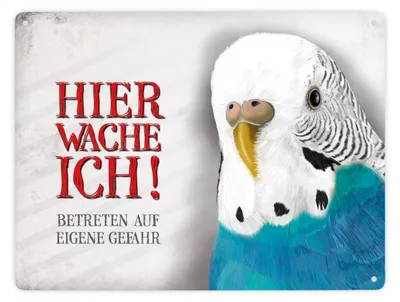 Produktbild von Betreten auf eigene Gefahr - Hier wache ich! Metallschild XXL mit Wellensittich