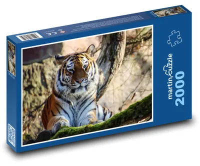 Produktbild von Puzzle 2000 Tiger in der Wildnis - martinpuzzle