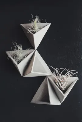 Image de Ensemble de trois pots de fleurs en béton, fabriqués à la main