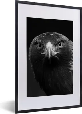 Produktbild von MuchoWow® Gerahmtes Poster Bussard - Vogel - Tiere - Schwarz - Weiß 40x60 cm - Poster mit Schwarzem Bilderrahmen Wandposter Rahmen Foto Bilder - Poster in Rahmen