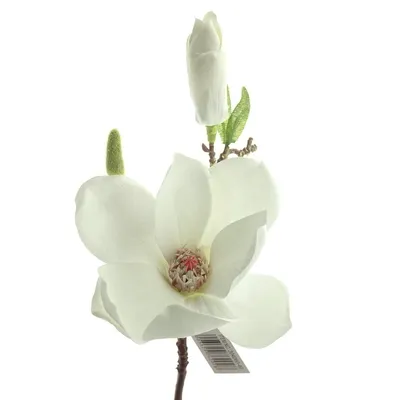 Produktbild von GASPER Magnolienzweig Reinweiß 37 cm - Kunstblumen