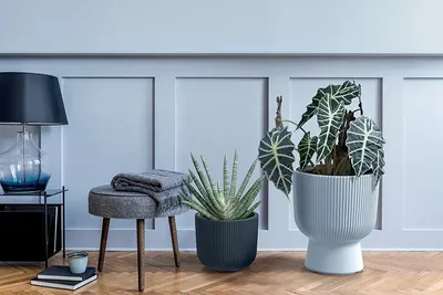 Produktbild von Blumentopf Milly designer zylindrischer Form für Innen- und Außenbereich Pflanzgefäß Pflanztopf aus Kunststoff 239 mm Farbe Piniengrün