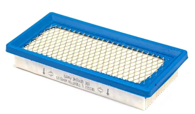 Immagine prodotto di Filtro dell'aria Briggs & Stratton 494511S