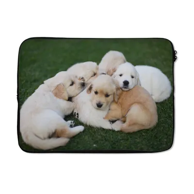 Produktbild von MuchoWow® Laptop Hülle 13 Zoll Tiere - Welpen - Hunde Laptoptasche - Laptophülle - Sleeve - Rundumschutz