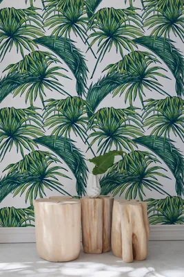 Produktbild von Coloray Fototapete 104x70 cm An Einer Wand Latex Latextapete - Dschungel Botanical.