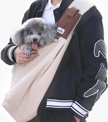 Produktbild von Famanu Hundetragetasche für kleine Hunde - Verstellbare Handsfree Tragetasche für Welpen, kleine Hunde und Katzen