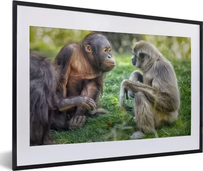 Produktbild von MuchoWow® MuchoWow® Gerahmtes Poster Affen - Tiere - Familie 60x40 cm - Poster mit zchwarzem Bilderrahmen - Schlafzimmer - Plakat in Rahmen - Drucken