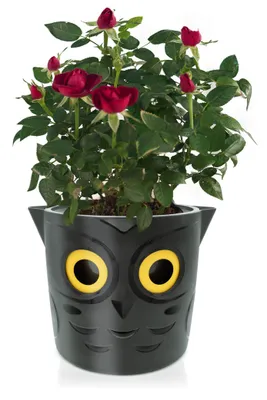 Produktbild von Blumentopf mit Wasserstandsanzeige, Ø 18 cm
