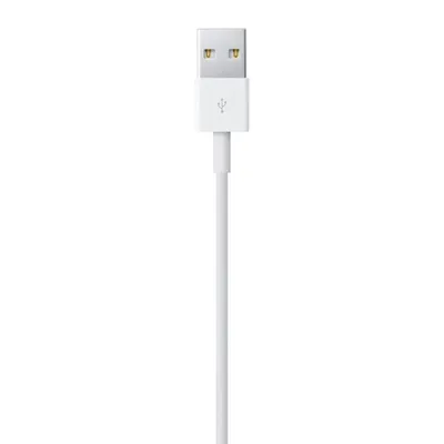 Zdjęcie produktu dla Kabel Apple Lightning - Lightning męski do USB męski