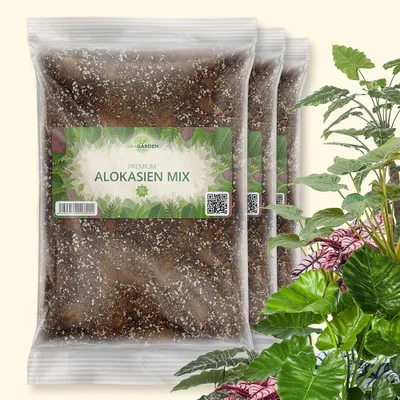 Produktbild von OraGarden Alokasien Erde 9 Liter