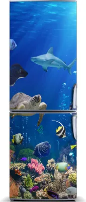 Imagen del producto de Decoración para nevera Tulup: Alfombrilla magnética, 70 cm x 190 cm. Imán para nevera con diseño de arrecife de coral
