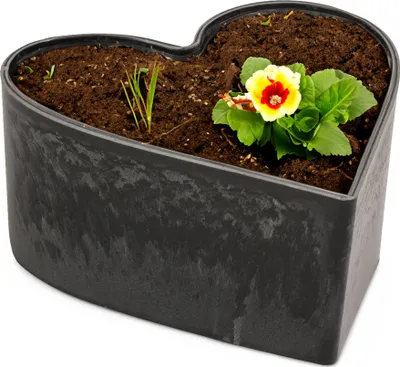 Produktbild von Herz Pflanzschale Vintage schwarz 15 x 15 cm Grabschmuck