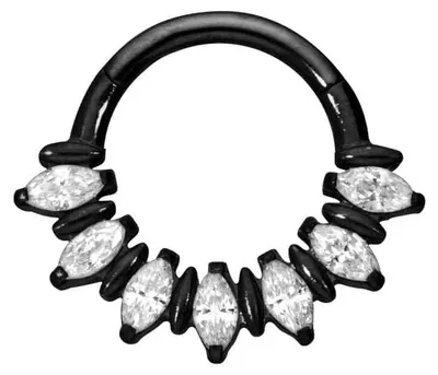 Produktbild von Ohrpiercing, Nasenpiercing, Septum Piercing Titan Segmentring Clicker 7 EINGEFASSTE KRISTALLTROPFEN