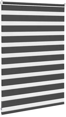 Produktbild von vidaXL Doppelrollo Schwarz 105x100 cm Stoffbreite 100,9 cm Polyester