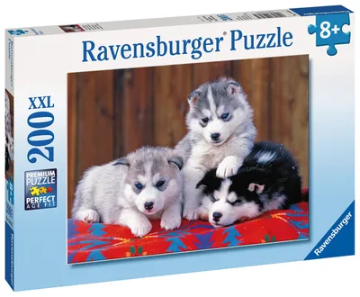 Obrázek produktu pro Ravensburger 4005556128235, 8 rok/roky