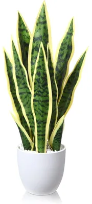 Zdjęcie produktu dla Sztuczna roślina Sansevieria, wysokość 40 cm, w doniczce, do dekoracji wnętrz, 1 sztuka