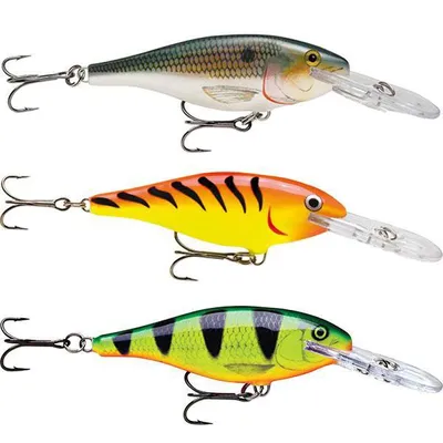Produktbild von Rapala Shad Rap 90 Mm 15 Gr FT One Size