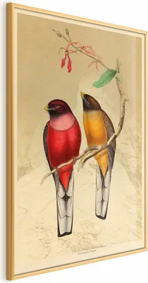 Produktbild von Posterpapier Poster - Birds on a Branch 60x90 cm Tiere g-C-0136-ao-a