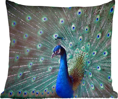 Produktbild von MuchoWow® Zierkissen Sofakissen Wohnzimmer Dekokissen 40x40 cm Pfau - Federn - Farben - Foto Kissen - Schlafzimmer Dekoration