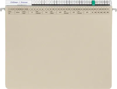 Produktbild von ORGALEX Hängehefter 1207702 2Abheftvorr. Re-Heftung grau