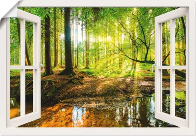 Produktbild von Günter Albers: Fensterblick - Wald mit Bach, Produkt:Poster, Größe (HxB):70x100 cm / Poster