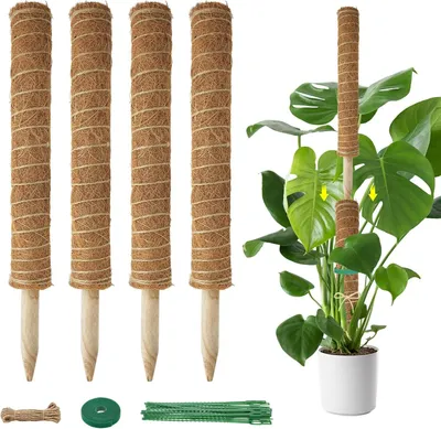 Imagen del producto de Soporte para plantas, de 4 piezas, extensible hasta 133 cm, con varillas de fibra de coco y musgo, ideal para plantas de interior