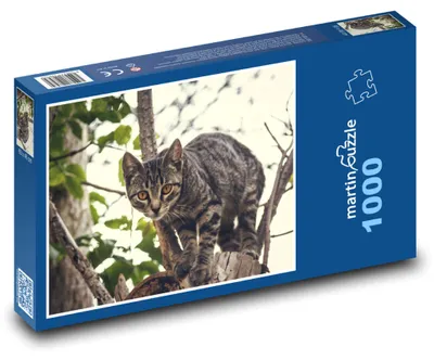 Zdjęcie produktu dla Puzzle 1000 Kot na drzewie - martinpuzzle