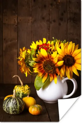 Produktbild von MuchoWow® Poster Kürbisse - Sonnenblumen - Herbst 60x90 cm - Wanddekoration