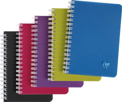 Produktbild von Clairefontaine 10x Spiralheft 9x14cm 50 Blatt kariert Linicolor sortiert 329525C