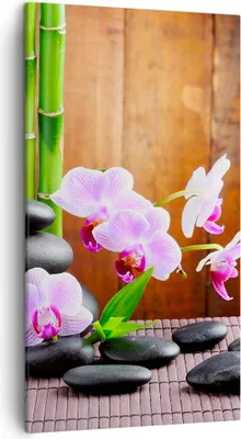 Produktbild von Bild auf Leinwand - Leinwandbild - Bambus Dekoration Blume Orchidee - 45x80cm - Wand Bild - Wanddeko - Leinwanddruck - Bilder - Kunstdruck - Wanddekoration - Leinwand bilder - Wandkunst - PA45x80-2167