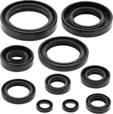 Obrázek produktu pro Sada motorových těsnění WINDEROSA W822114