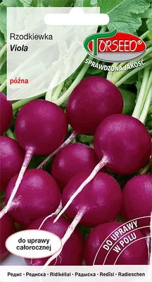Produktbild von Radieschen (Feld) Samen Viola 5g - Torseed