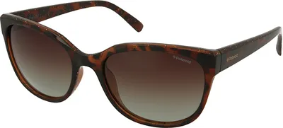 Produktbild von Polaroid Sonnenbrille PLD 4030/S Q3V 55 19 141