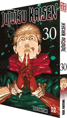 Obrázek produktu pro Jujutsu Kaisen – Band 30 (Finale)