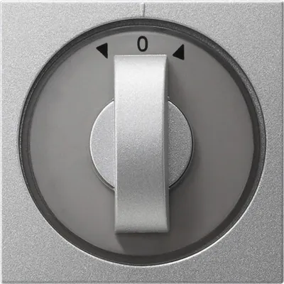 Produktbild von GIRA 066626 Wandplatte/Schalterabdeckung Aluminium (066626)