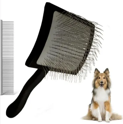 Image de Brosse professionnelle pour chiens, avec manche en bois
