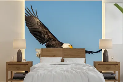 Produktbild von MuchoWow® Fototapete für Wohnzimmer oder Schlafzimmer Wandtapete Vinyl Motivtapete Vogel - Adler - Raubvögel - 220x220 cm - Tapeten